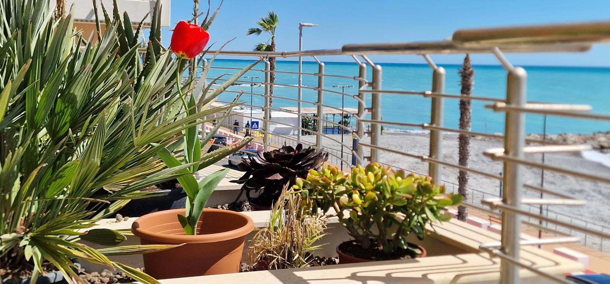 Mare Blu Daire Ventimiglia Dış mekan fotoğraf